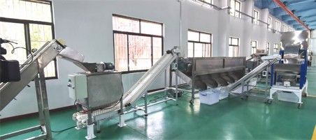 核桃去青皮清洗、提升機(jī)